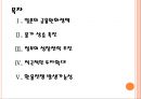 [일본경제] 일본경제정책과 환율정책의 영향.PPT자료 2페이지