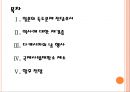 [독도문제] 독도문제에 대한 일본의 주장과 대처방안.PPT자료 2페이지