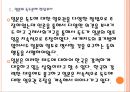 [독도문제] 독도문제에 대한 일본의 주장과 대처방안.PPT자료 5페이지