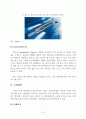 디젤자동차 및 연료분사장치(Injector)에 대한 시장 분석 13페이지