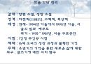 신경숙  작품분석.ppt 10페이지