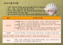 식품조리의 예비작업과 조리방법, 생식품의 조리방법(The principle of Cook) 13페이지