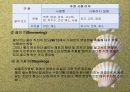 식품조리의 예비작업과 조리방법, 생식품의 조리방법(The principle of Cook) 17페이지