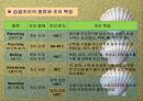 식품조리의 예비작업과 조리방법, 생식품의 조리방법(The principle of Cook) 18페이지