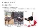 가금류(Poultry)의 조리원리 (The principle of Cook).ppt 27페이지