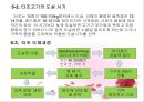 가금류(Poultry)의 조리원리 (The principle of Cook).ppt 29페이지