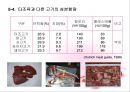 가금류(Poultry)의 조리원리 (The principle of Cook).ppt 31페이지