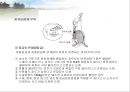 육류(Meat/肉類)의 조리원리(소, 돼지를 중점으로).ppt 21페이지