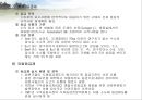 육류(Meat/肉類)의 조리원리(소, 돼지를 중점으로).ppt 23페이지