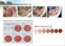 육류(Meat/肉類)의 조리원리(소, 돼지를 중점으로).ppt 42페이지