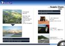 다국적 제조업체 ‘미쉐린 타이어’.ppt 13페이지