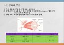 우리나라 육류산업과 육류조리의 이해.ppt 7페이지
