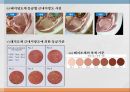 우리나라 육류산업과 육류조리의 이해.ppt 43페이지