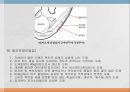우리나라 육류산업과 육류조리의 이해.ppt 44페이지