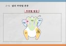 우리나라 육류산업과 육류조리의 이해.ppt 48페이지