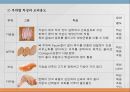 우리나라 육류산업과 육류조리의 이해.ppt 50페이지