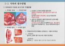우리나라 육류산업과 육류조리의 이해.ppt 54페이지