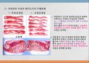 우리나라 육류산업과 육류조리의 이해.ppt 55페이지