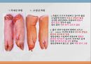 우리나라 육류산업과 육류조리의 이해.ppt 56페이지