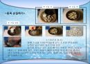 어패류(魚貝類 )의 조리[Fish and Shellfishehs Cook].ppt 25페이지