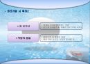 어패류(魚貝類 )의 조리[Fish and Shellfishehs Cook].ppt 30페이지