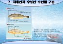 어패류(魚貝類 )의 조리[Fish and Shellfishehs Cook].ppt 36페이지