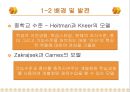 발달단계모형과 교육에서의 교사의 역할.PPT자료 8페이지