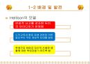 발달단계모형과 교육에서의 교사의 역할.PPT자료 9페이지