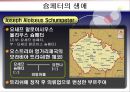 슘페터(Schumpeter)의 생애와 시대적 배경  20페이지