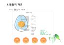 난류(Egg/卵類)의 조리원리(달걀류의 조리).ppt 3페이지
