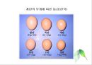 난류(Egg/卵類)의 조리원리(달걀류의 조리).ppt 13페이지