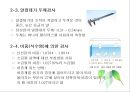 난류(Egg/卵類)의 조리원리(달걀류의 조리).ppt 16페이지
