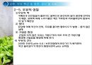 우유 및 유제품의 조리원리(Milk Cook).ppt 11페이지