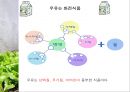 우유 및 유제품의 조리원리(Milk Cook).ppt 17페이지