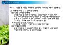우유 및 유제품의 조리원리(Milk Cook).ppt 34페이지