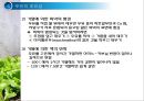 우유 및 유제품의 조리원리(Milk Cook).ppt 35페이지
