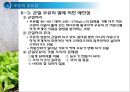 우유 및 유제품의 조리원리(Milk Cook).ppt 37페이지