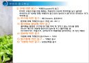 우유 및 유제품의 조리원리(Milk Cook).ppt 39페이지