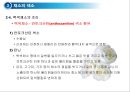 채소 및 과일류(Vegetable & Fruit)의 조리.ppt 10페이지