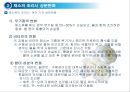 채소 및 과일류(Vegetable & Fruit)의 조리.ppt 12페이지