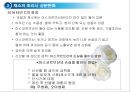 채소 및 과일류(Vegetable & Fruit)의 조리.ppt 14페이지