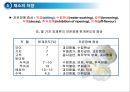 채소 및 과일류(Vegetable & Fruit)의 조리.ppt 24페이지
