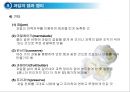 채소 및 과일류(Vegetable & Fruit)의 조리.ppt 39페이지