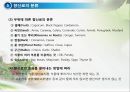 조미료와 향신료의 조리원리(Seasoning agent & Spice Cook).ppt 18페이지