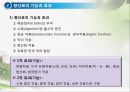 조미료와 향신료의 조리원리(Seasoning agent & Spice Cook).ppt 24페이지