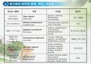 조미료와 향신료의 조리원리(Seasoning agent & Spice Cook).ppt 27페이지