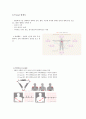 심전도 모니터 3페이지