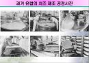 식전(食前)발효식품의 조리원리(포도주, 에피타이저, 샐러드드레싱과 빵) 16페이지