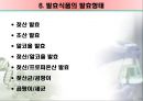 식품속 미생물 & 발효의 이해.ppt 13페이지