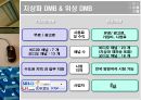  DMB (Digital Multimedia Broadcasting).ppt 8페이지